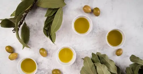 How to Use Olive Leaf Extract Powder in Your Diet